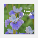 Search for blue flower magnets Botanical