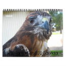 Search for raptor calendars Hawks