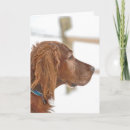 Search for setter cards Pet