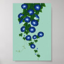 Search for morning glory posters Japan