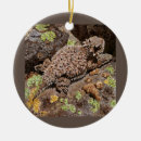 Search for lizard christmas tree decorations Illustration