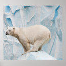 Search for habitat posters Environment