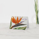 Search for bird paradise cards Floral