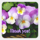Search for pansies stickers Pansy