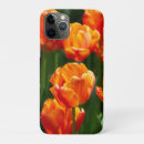 Search for tulip photos iphone cases Tulips