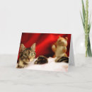 Search for veterinarian christmas cards Photography