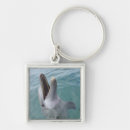 Search for common key rings Wildlife