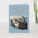 Search for kitten birthday cards Feline