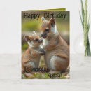 Search for bonded Wildlife