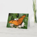 Search for julia cards Pretty