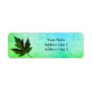 Search for organ return address labels Green