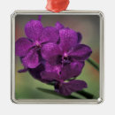 Search for petal christmas tree decorations Foliage