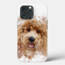 Search for labradoodle electronics Dogs