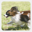 Search for blurred motion stickers Outdoors
