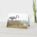 Search for wetlands cards Wildlife