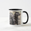 Search for black labrador retriever mugs Nature