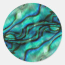 Search for abalone stickers Abstract