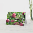Search for apple orchard cards Tree