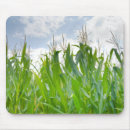 Search for corne mousepads Cornfield