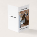 Search for corgi birthday cards Pembroke