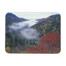Search for smokey mountain magnets Landscape
