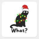 Search for cat wearing stickers Cats