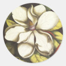 Search for magnolia blossom stickers Magnolias