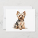 Search for yorkie cards Breed