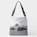 Search for cannons bags Haystack rock