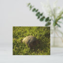 Search for charming postcards Trendy
