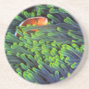 Search for hide coasters Animal