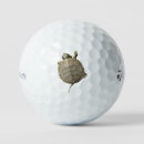 Search for turtle golf equipment Tortoise