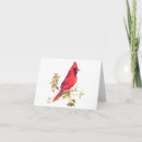 Search for cardinal note cards Memorial