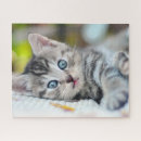 Search for baby puzzles Domestic animals