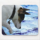 Search for swim mousepads Mammal