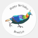 Search for the bird stickers For kids