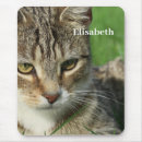 Search for “young mousepads Pet