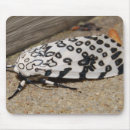 Search for moth mousepads Bugs