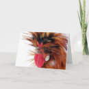 Search for rooster christmas cards Snow