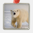 Search for refuges christmas tree decorations Arctic national wildlife refuge