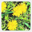 Search for pic stickers Flowers