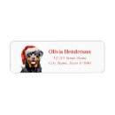 Search for rottweiler return address labels Dog