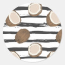Search for coconut fruit stickers Cute