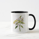 Search for orange tree mugs Flowers