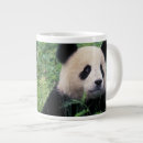 Search for giant panda mugs Asia