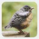 Search for young animal stickers Baby animals