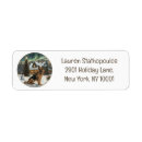 Search for northern lights return address labels Snow