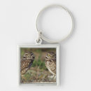 Search for animal gallery key rings Close up