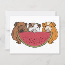 Search for pet food postcards Animal