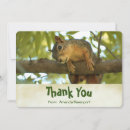 Search for wildlife photography cards Squirrel